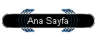 Ana Sayfa