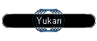 Yukarı